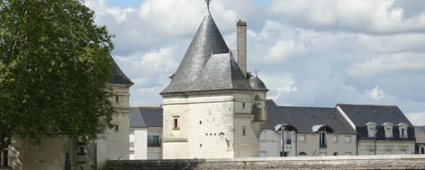 coup-de-coeur-quelles-villas-de-caractere-seduisent-les-acheteurs-a-chatellerault