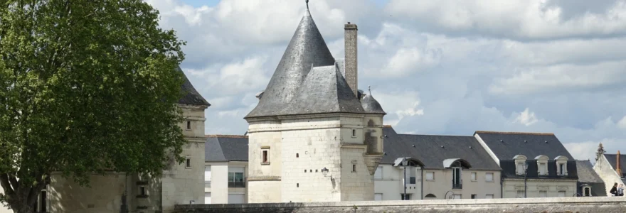 coup-de-coeur-quelles-villas-de-caractere-seduisent-les-acheteurs-a-chatellerault